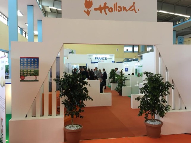 Stand Holland 3